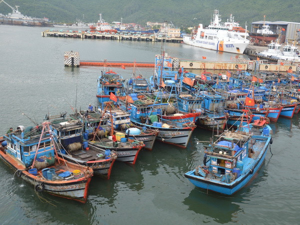 Các tỉnh, thành phố ven biển chủ động ứng phó với áp thấp nhiệt đới ảnh 1