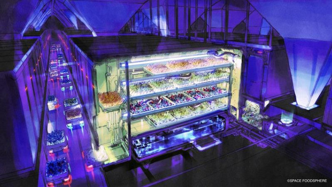 Các nhà khoa học Nhật Bản nghiên cứu sản xuất thực phẩm trên Mặt Trăng ảnh 1