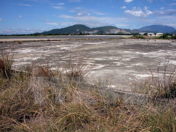 "Sân bay Biên Hòa là khu vực ô nhiễm dioxin lớn nhất thế giới" ảnh 1