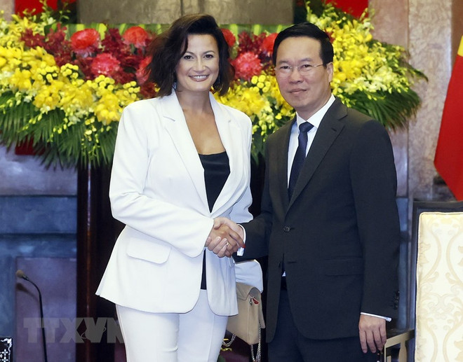 Chủ tịch nước Võ Văn Thưởng tiếp Chủ tịch Thượng viện Vương quốc Bỉ ảnh 1