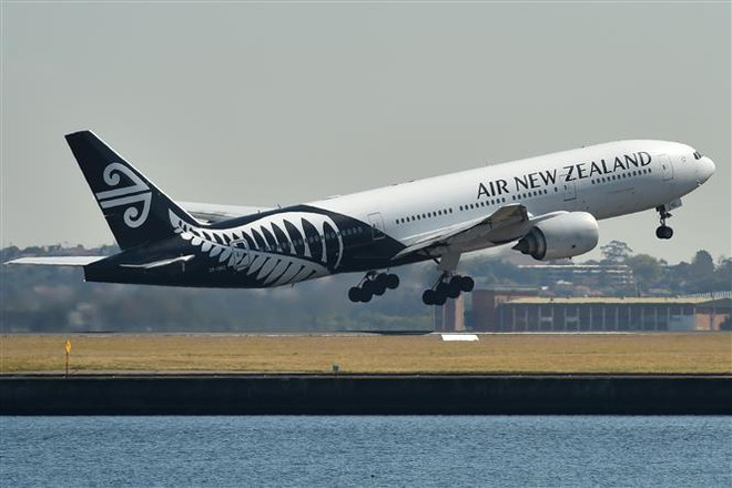 Air New Zealand lỗ 300 triệu USD, các sân bay của Anh thu hẹp quy mô ảnh 1