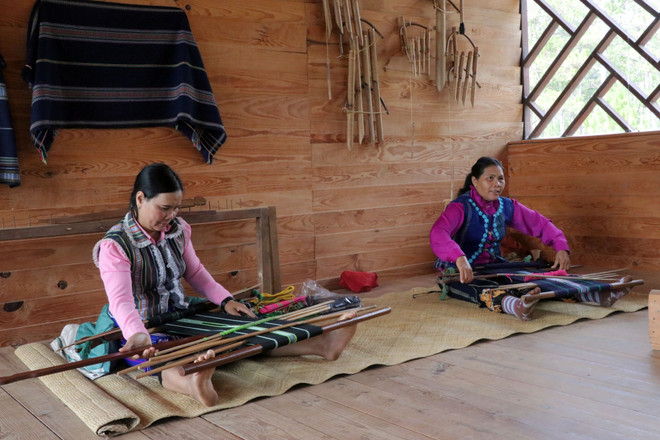 Tour du lịch leo núi khám phá cây thông cổ thụ quý hiếm nhất Việt Nam ảnh 3