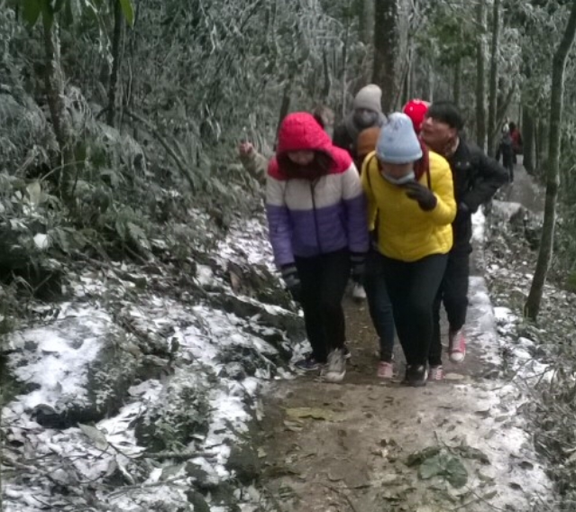 Tuyết rơi phủ kín Ba Vì, kiểm lâm tăng cường ứng trực ảnh 1