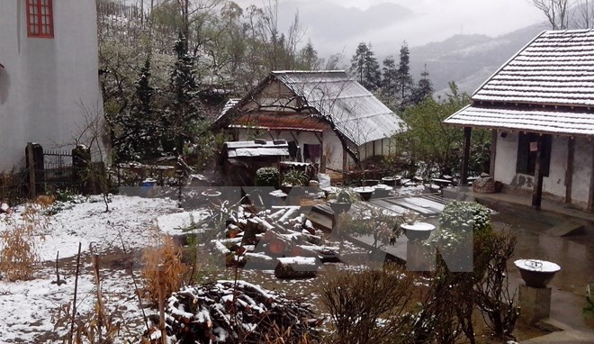 Lào Cai ra công điện khẩn ứng phó với thời tiết băng giá ảnh 1