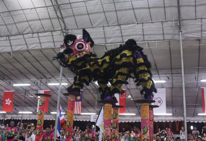 Việt Nam tham gia Cuộc thi múa lân quốc tế lần thứ 9 tại Singapore ảnh 2