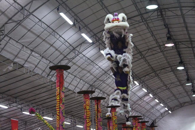 Việt Nam tham gia Cuộc thi múa lân quốc tế lần thứ 9 tại Singapore ảnh 3