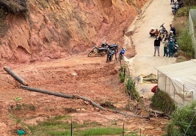 Lâm Đồng: Cây thông khô gãy đổ đè chết một người đàn ông ảnh 1