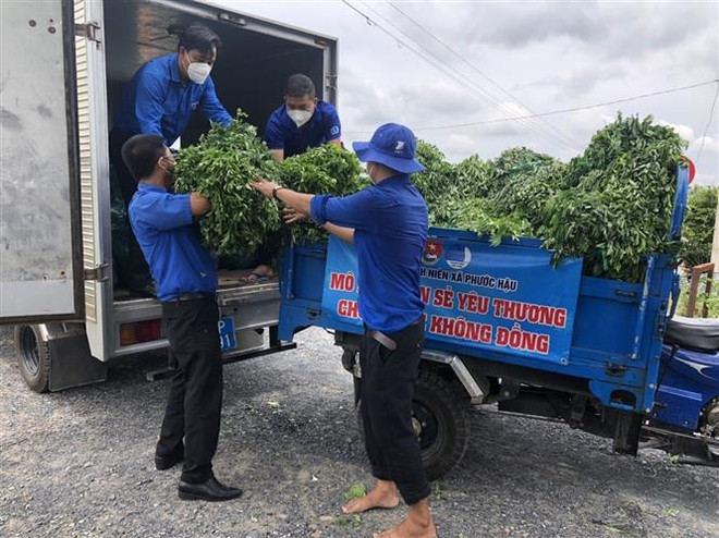 Chức năng, nhiệm vụ của Ủy ban quốc gia về Thanh niên Việt Nam ảnh 1