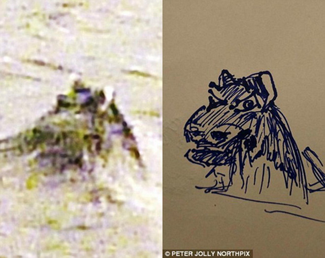 Thực hư bức ảnh đầu quái vật hồ Loch Ness nhô lên khỏi mặt nước ảnh 2