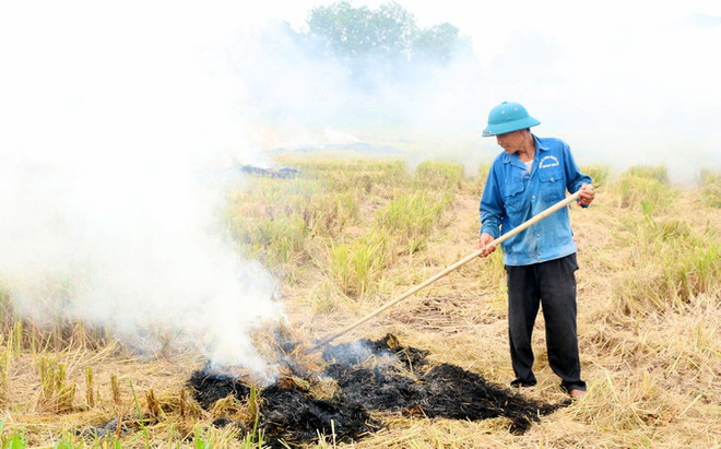Những chiếc "bẫy thóc" giết người trên đường quốc lộ ảnh 2