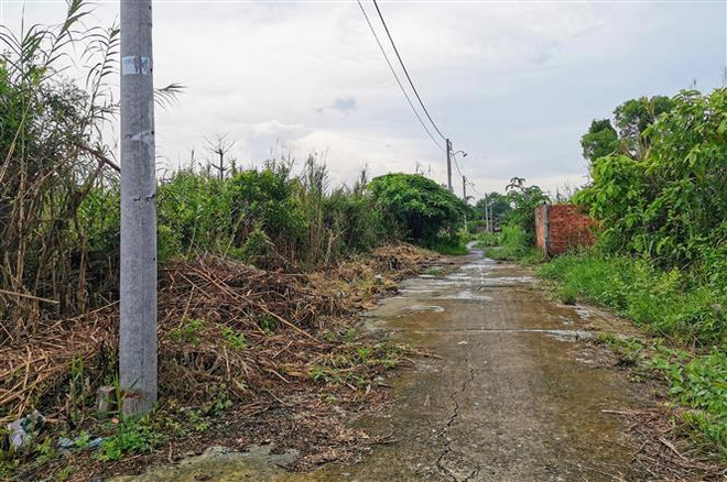 Phiên họp chuyên đề tháng 8: Tập trung hoàn thiện dự án Luật Đất đai ảnh 3