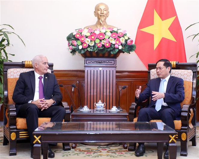 Thắt chặt quan hệ chính trị đặc biệt, hợp tác toàn diện Việt Nam-Cuba ảnh 1