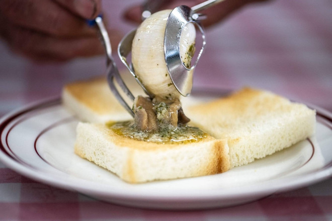 oc sen nhat ban 3.jpg