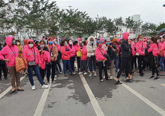 Công nhân Công ty TNHH Vienergy đã trở lại làm việc bình thường ảnh 1