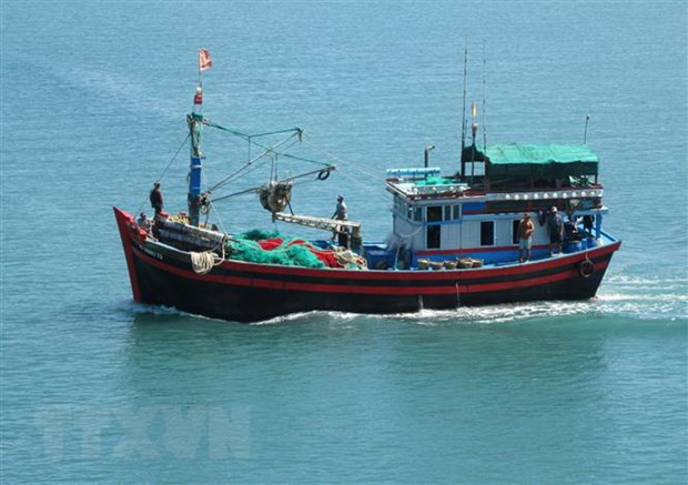 Tàu cá vươn khơi khai thác hải sản. (Ảnh: Nguyễn Thành/TTXVN) Khắc phục 'thẻ vàng' IUU: Giám sát chặt hoạt động các tàu cá ảnh 1