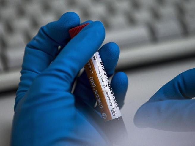 Châu Âu mở chiến dịch chống doping quy mô lớn, bắt giữ nhiều đối tượng ảnh 1