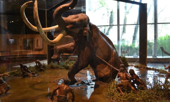 Mexico xây dựng bảo tàng voi ma mút trong sân bay quốc tế mới ảnh 1