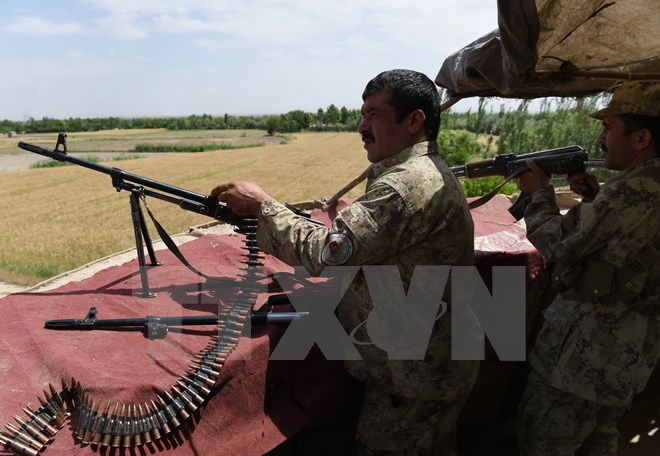 Afghanistan bắt giữ một thủ lĩnh Taliban, thu giữ xe bom ảnh 1