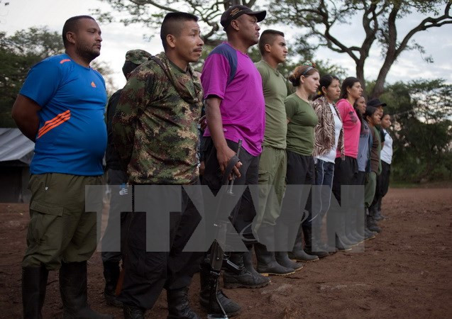 Các tay súng FARC tại một căn cứ ở Conejo, La Guajira, Colombia ngày 6/12. (Nguồn: EPA/TTXVN) LHQ lo ngại tội phạm chiếm khu vực FARC đồn trú để canh tác cocain ảnh 1
