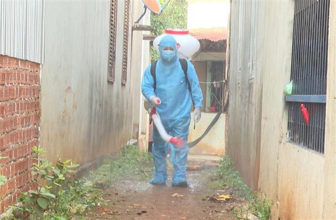 Quảng Ngãi: Trên 400 học sinh nghỉ học để phòng bệnh bạch hầu ảnh 1