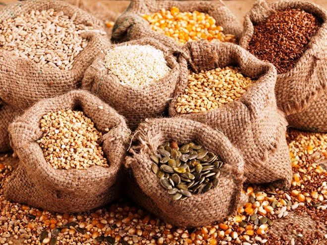 Xuất cấp hơn 1.200 tấn hạt giống hỗ trợ 3 tỉnh thiệt hại do thiên tai ảnh 1