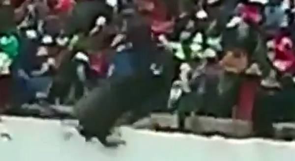 [Video] Bò tót nổi điên lao thẳng lên khán đài tấn công khán giả ảnh 1