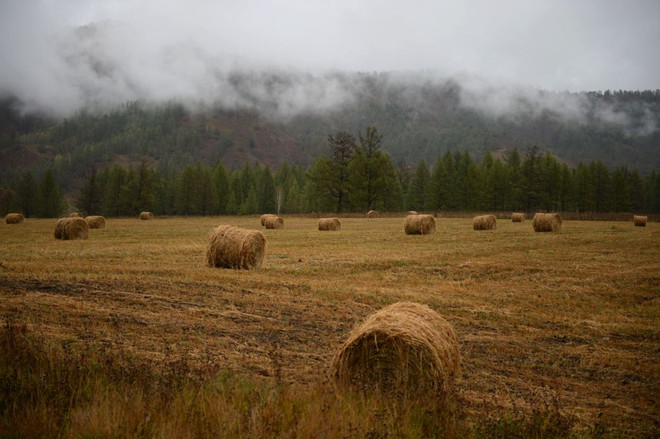 [Photo] Ngắm mùa Thu vàng đã về trên vùng núi Altai của Nga ảnh 6