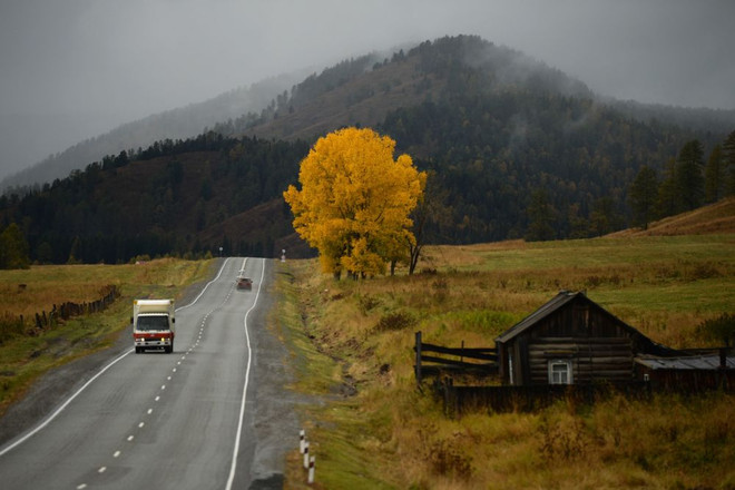 [Photo] Ngắm mùa Thu vàng đã về trên vùng núi Altai của Nga ảnh 7