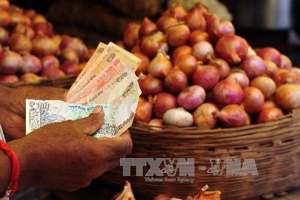 Ấn Độ: Đồng rupee có thể biến động trong năm 2014 ảnh 1