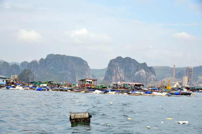ttxvn_thuy san quang ninh.jpg