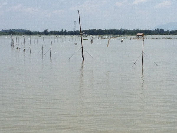 Đồng Nai: Truy tìm cá sấu xổng chuồng trong hồ Trị An ảnh 1