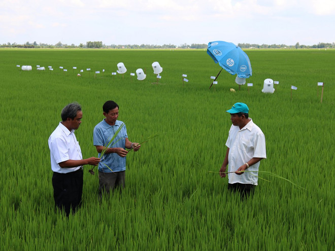 Phát hiện hơn 1.560 điểm tồn lưu hóa chất bảo vệ thực vật nguy hại ảnh 1