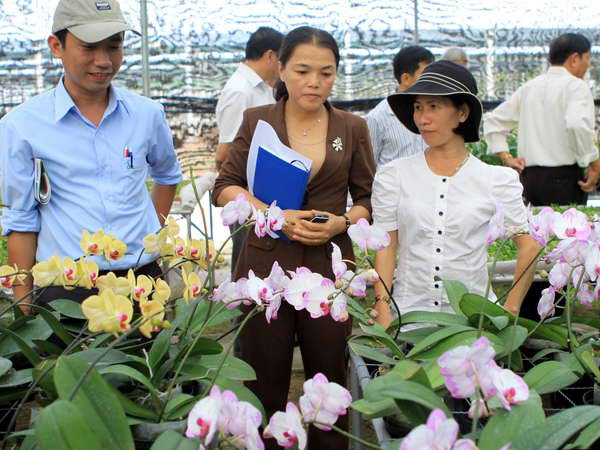 Bình Định ứng dụng công nghệ cao vào sản xuất nông nghiệp ảnh 1