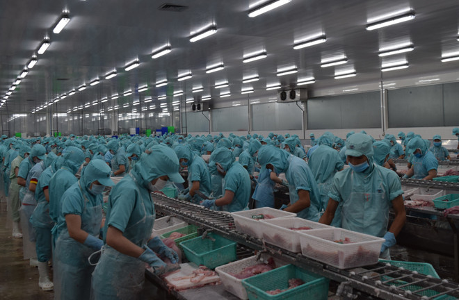 Quy trình sản xuất tại một cơ sở chế biến thủy sản của tỉnh Đồng Tháp. (Ảnh: Chương Đài/TTXVN) Đồng hành cùng nông sản Việt chinh phục thị trường thế giới ảnh 2