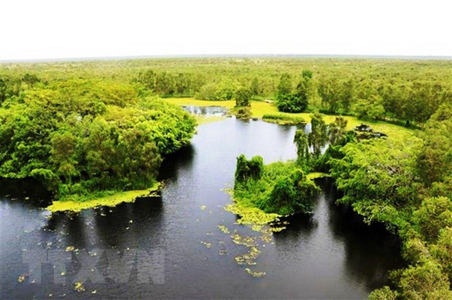Một góc Vườn quốc gia U Minh Thượng. (Nguồn: TTXVN) Đề xuất định hướng quản lý, bảo tồn các Khu Dự trữ Sinh quyển Việt Nam ảnh 2
