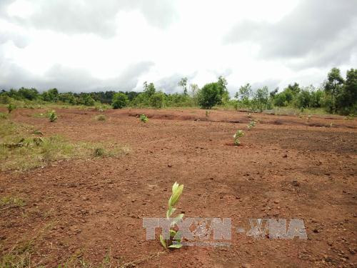 Họp báo Chính phủ thường kỳ: Quyết liệt xử lý bán đất công giá rẻ ảnh 1