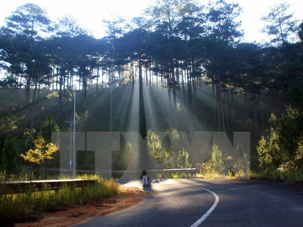 Bắc bộ trời mát mẻ, Nam Bộ vẫn còn mưa rào và dông diện rộng ảnh 1