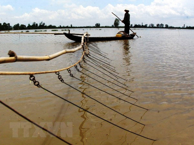 Mực nước về Đồng bằng sông Cửu Long thấp nhất trong vòng 10 năm ảnh 1