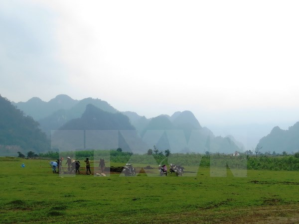 [Video] Cận cảnh địa điểm bấm máy "Kong: Skull Island" ảnh 1