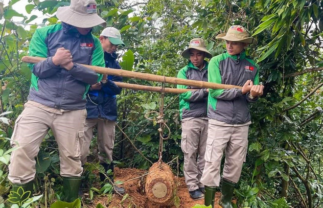 Quả bom lớn được đưa lên khỏi lớp đất. (Nguồn: Đội EOD1) Quảng Trị: Nông dân phát hiện quả bom MK81 nặng 119kg khi làm rẫy ảnh 1