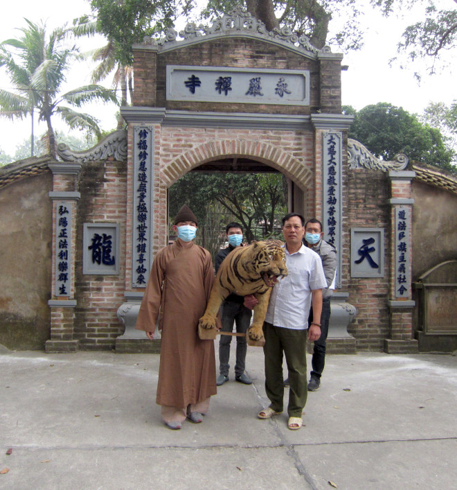 Bắc Giang chuyển giao tiêu bản hổ về Bảo tàng Thiên nhiên Việt Nam ảnh 2