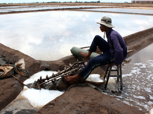 Mưa trái mùa trên diện rộng xua tan oi bức tại Bạc Liêu ảnh 1