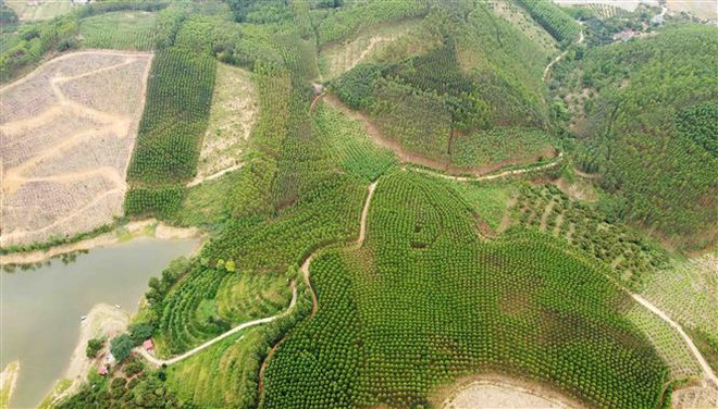 Gỡ khó trong giải ngân vốn đầu tư công Vùng trung du, miền núi Bắc Bộ ảnh 1