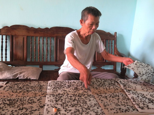 Bãi rác lộ thiên ở Hà Giang: Dân ngồi trong màn ăn cơm tránh ruồi ảnh 2