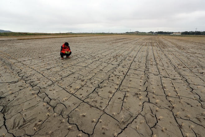 Tình trạng ấm lên toàn cầu đang diễn ra nghiêm trọng hơn dự báo ảnh 1