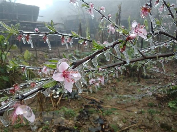 Không khí lạnh tăng cường, khu vực Bắc Bộ có nơi dưới 5 độ C ảnh 1