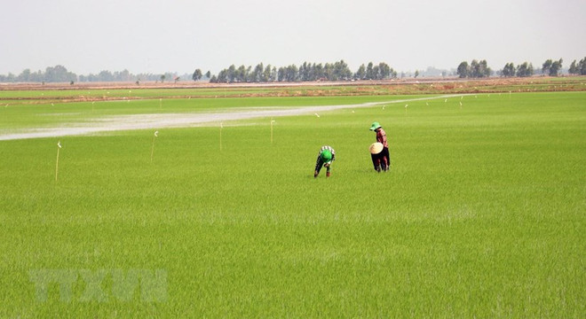 Kiên Giang huy động 17.000 tỷ đồng xây dựng nông thôn mới ảnh 1