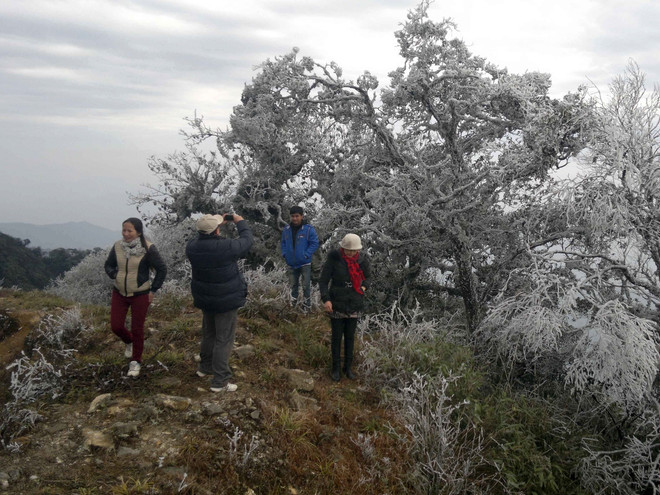 Rét đậm, rét hại có khả năng sẽ xảy ra vào nửa đầu tháng 12 ảnh 1