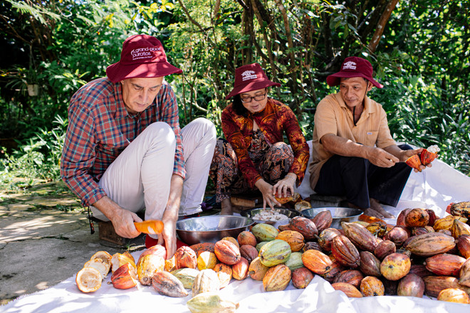 Ông Gricha Safarian cùng người nông dân lựa chọn quả cacao. (Nguồn: BNEWS) cacao-chocolate-3.jpg