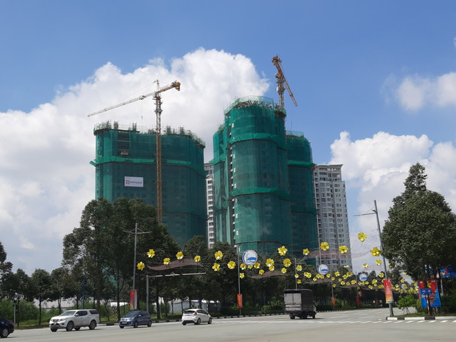 Vốn đầu tư trực tiếp nước ngoài nâng tầm lớn mạnh vùng đất nông nghiệp ảnh 2